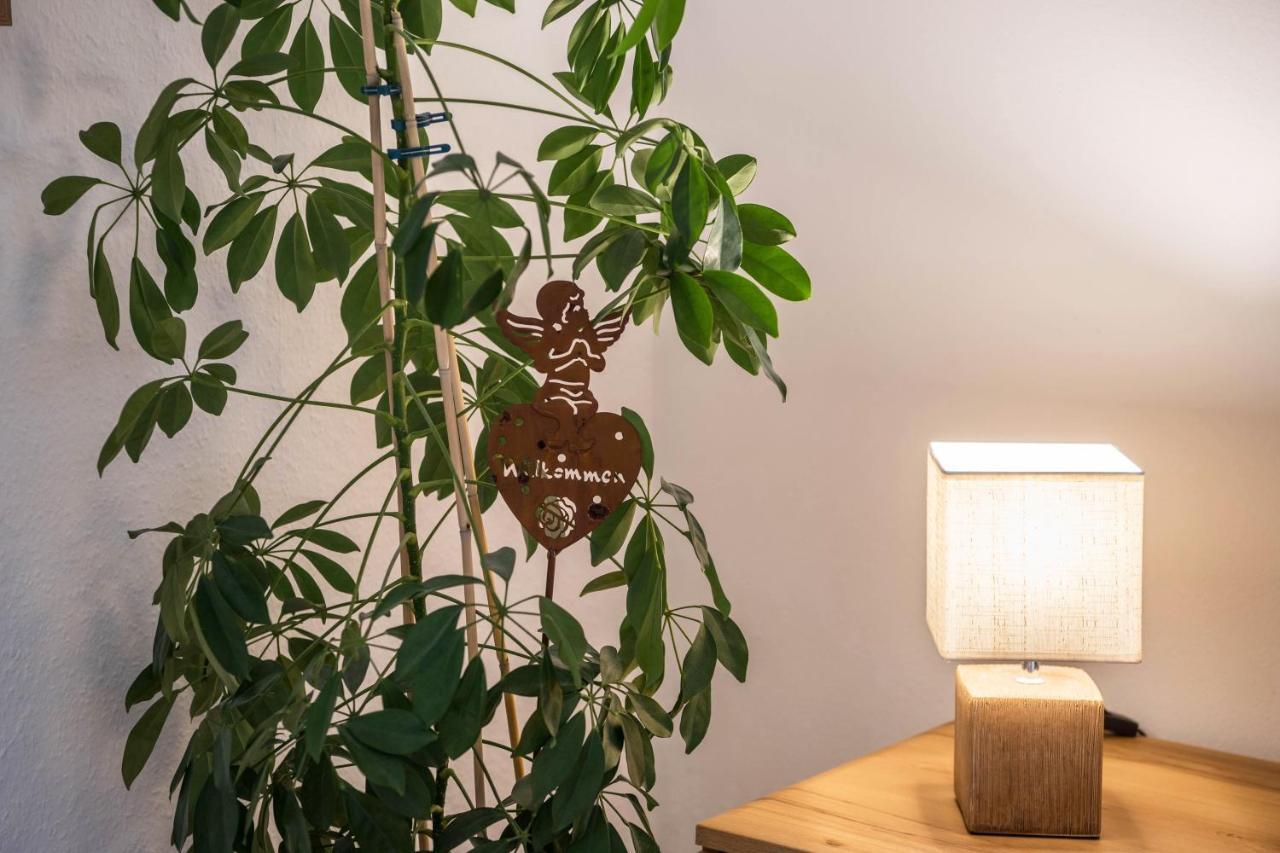 Ferienwohnung Gipfelblick 格赖瑙 外观 照片